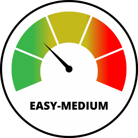 Christmas disco thetfrod